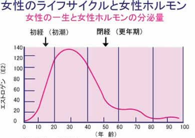 女性ホルモンの推移を女性のライフサイクル