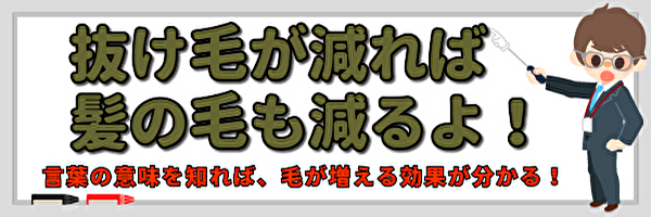 小冊子用キャッチコピー