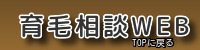 頭皮の薄毛対策は育毛相談WEBで